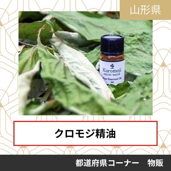 株式会社白い森林の精