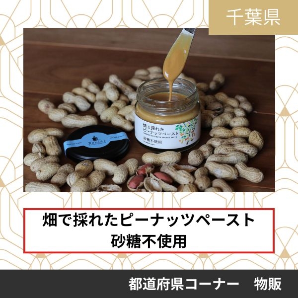 株式会社セガワ
