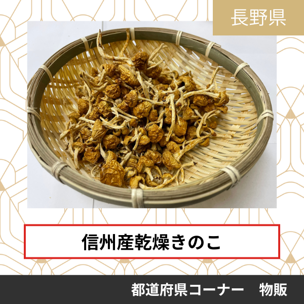 株式会社信州新緑